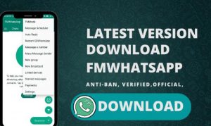 Discover the Benefits of Downloading FM WhatsApp